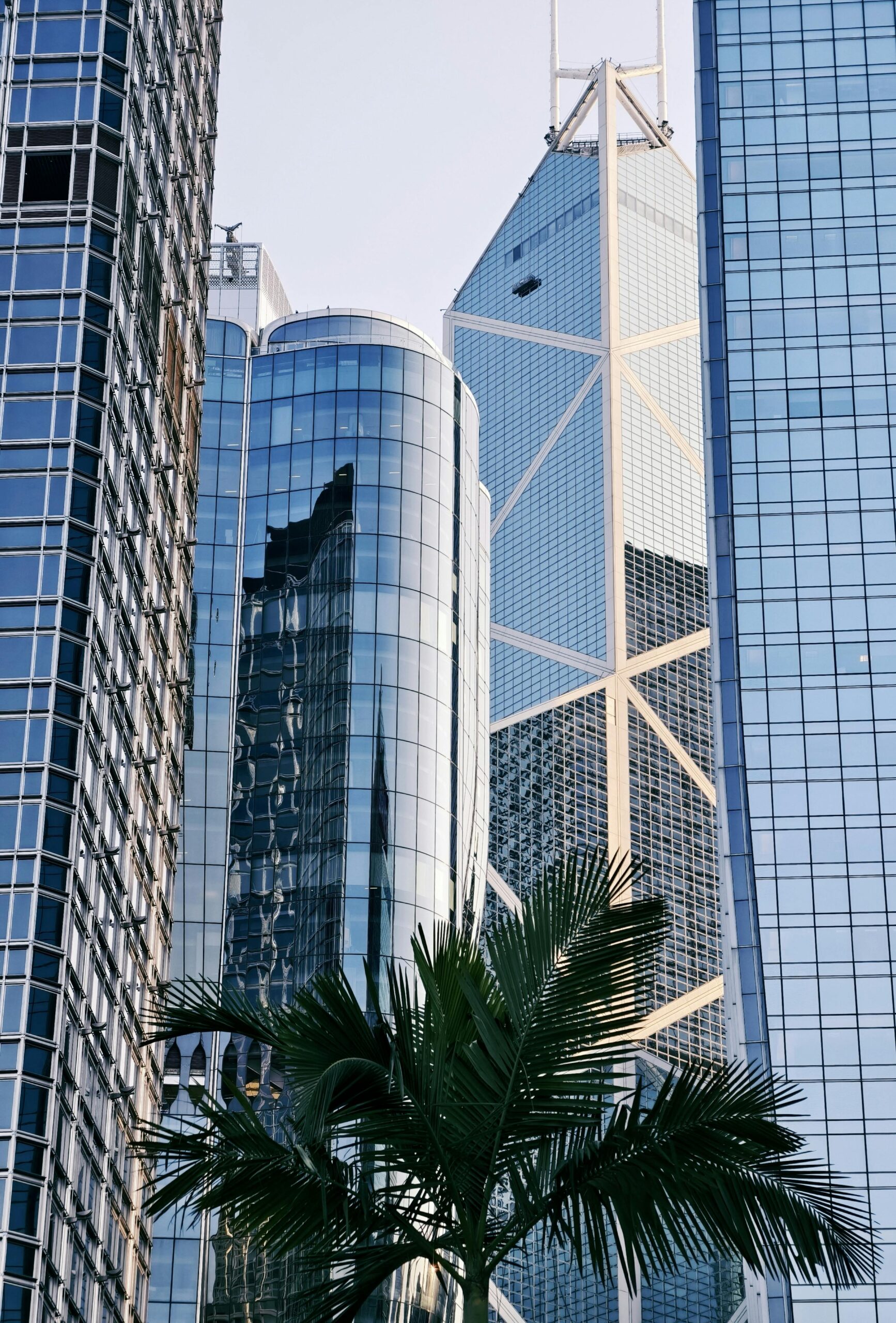 跨境稅務與合規實務：在港家族辦公室的關鍵要點