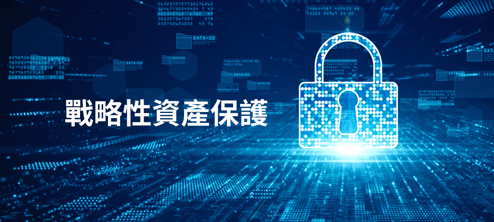 《 戰略性資產保護》